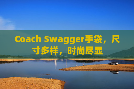 Coach Swagger手袋，尺寸多样，时尚尽显
